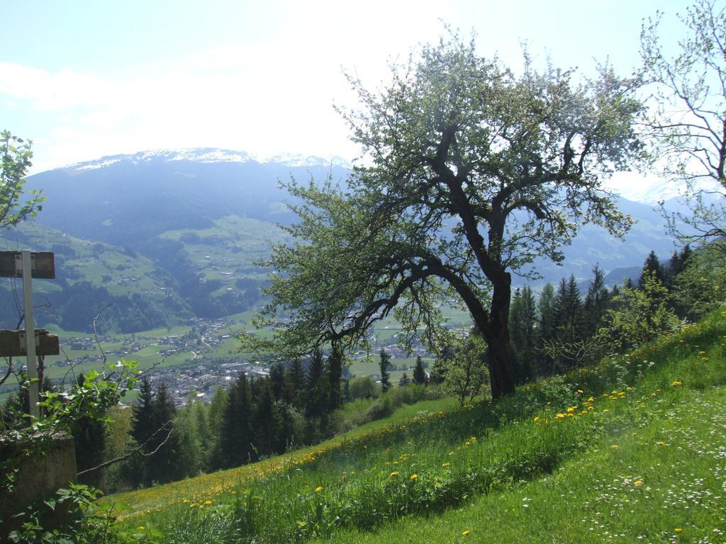 Ferienwohnung Lehenhof Ried im Zillertal Room photo